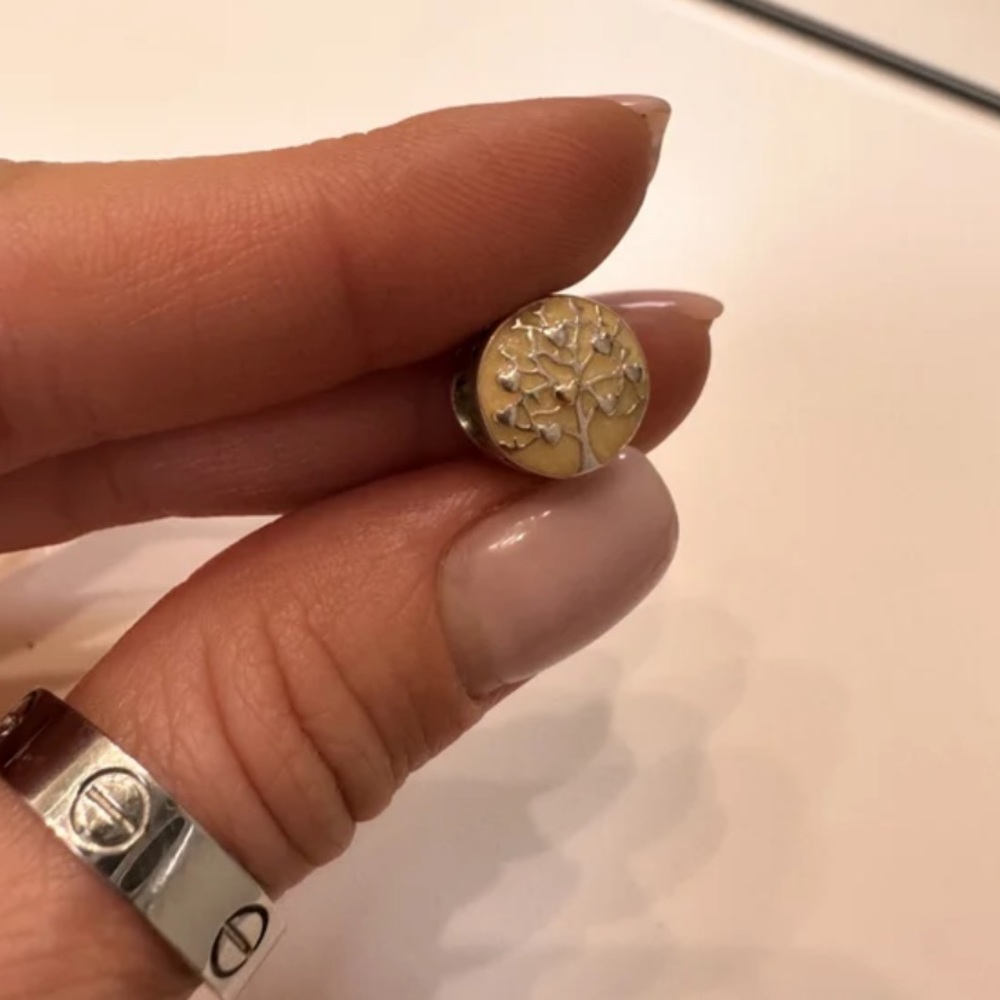Authentic Pandora Silver and Enamel Charm